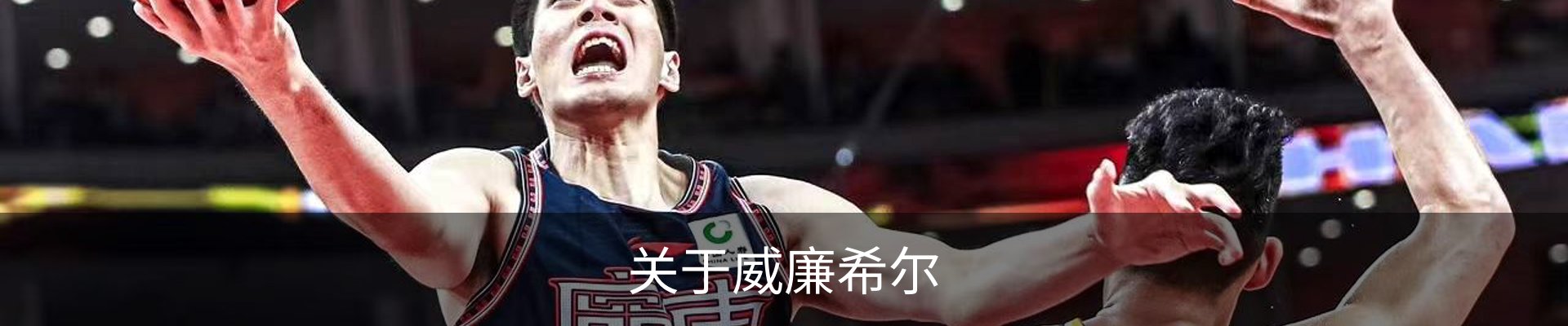 关于威廉希尔